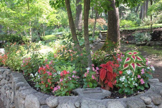 Dunsmuir Botanical Gardens